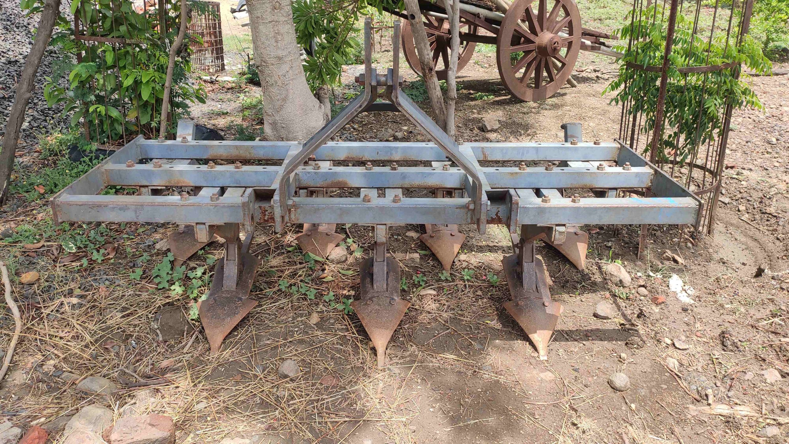 IMG_20210617_113608_compress20