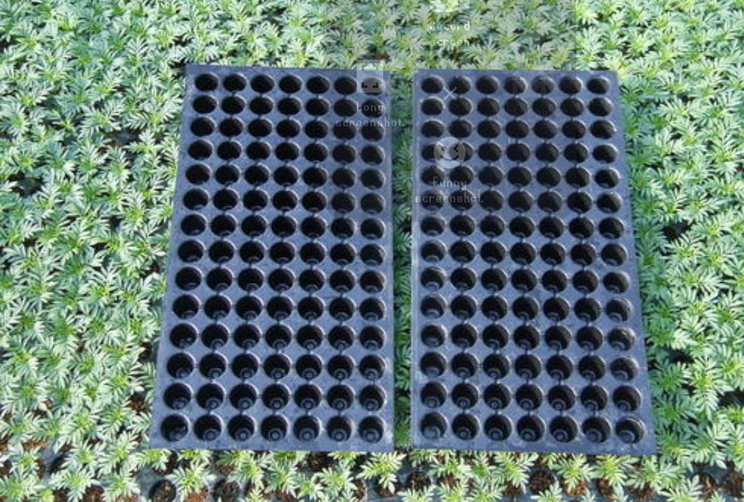 WhatsApp-Image-2021-06-12-at-2.46.50-PM-1