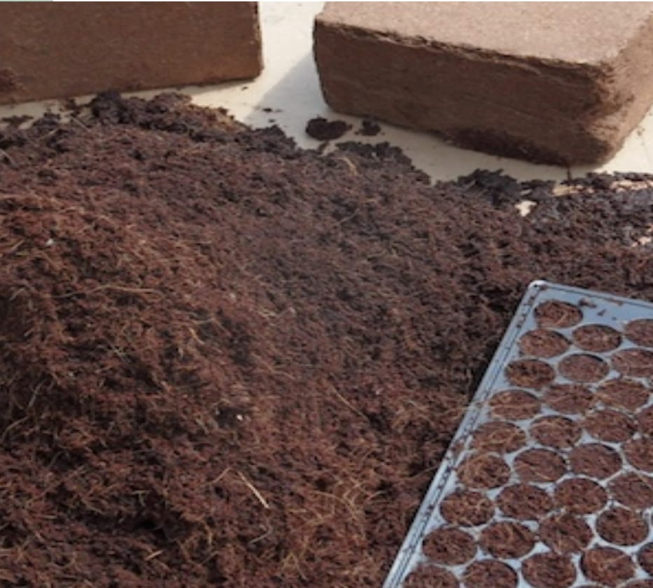 WhatsApp-Image-2021-06-16-at-1.05.11-PM