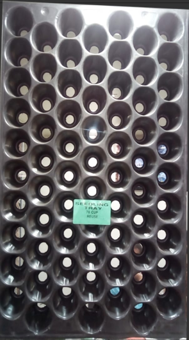 WhatsApp-Image-2021-06-17-at-4.39.41-PM