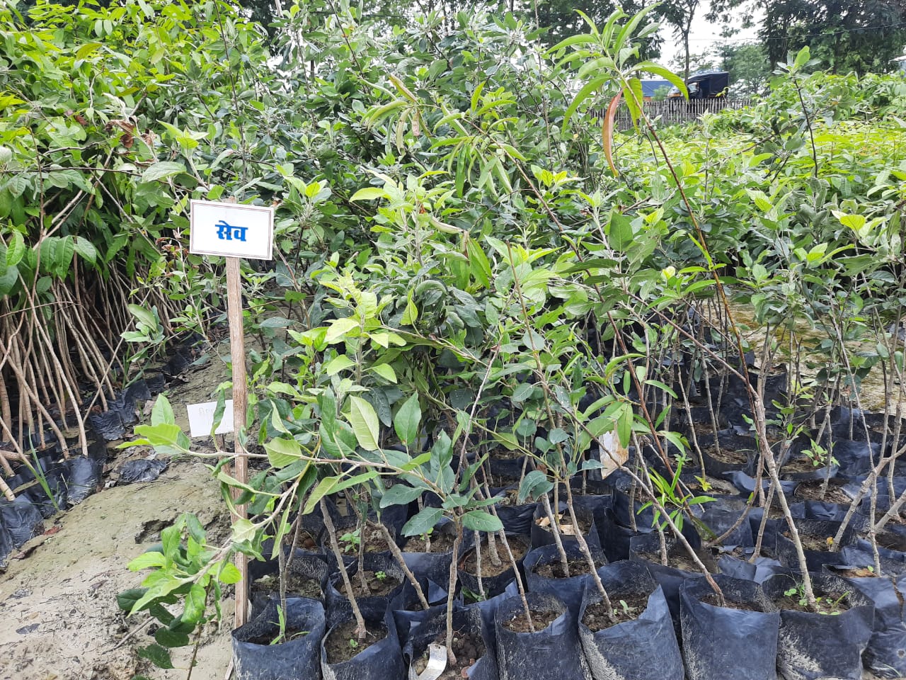 WhatsApp-Image-2021-06-17-at-4.40.31-PM