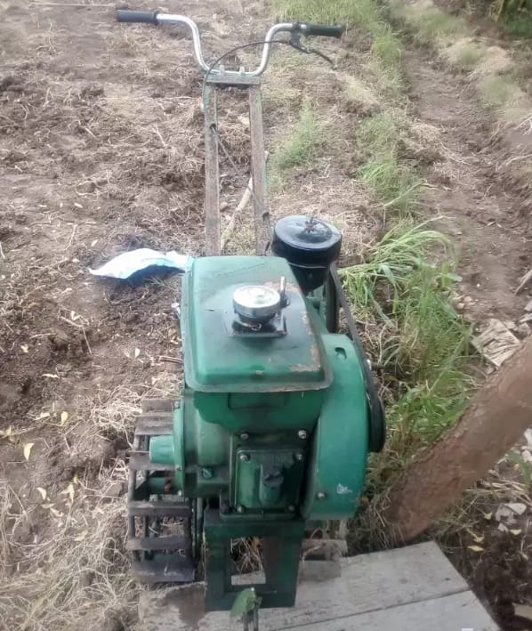 WhatsApp-Image-2021-06-22-at-12.17.48-PM