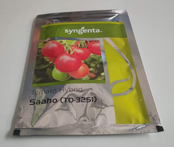 syngenta-tomato-sedd