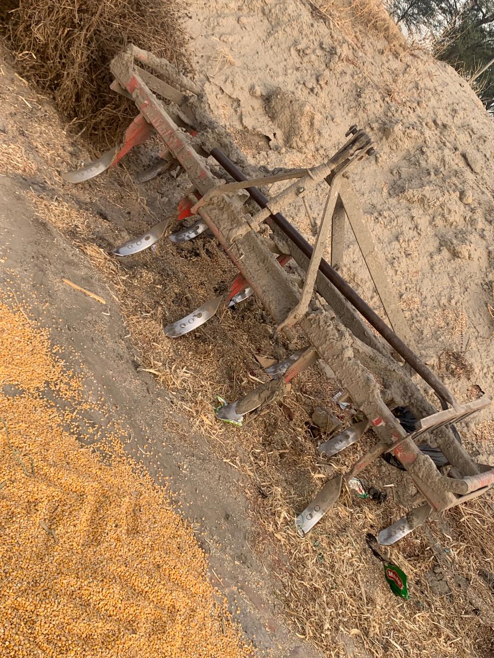 07239906-AB04-4563-B133-8FE64AE00675