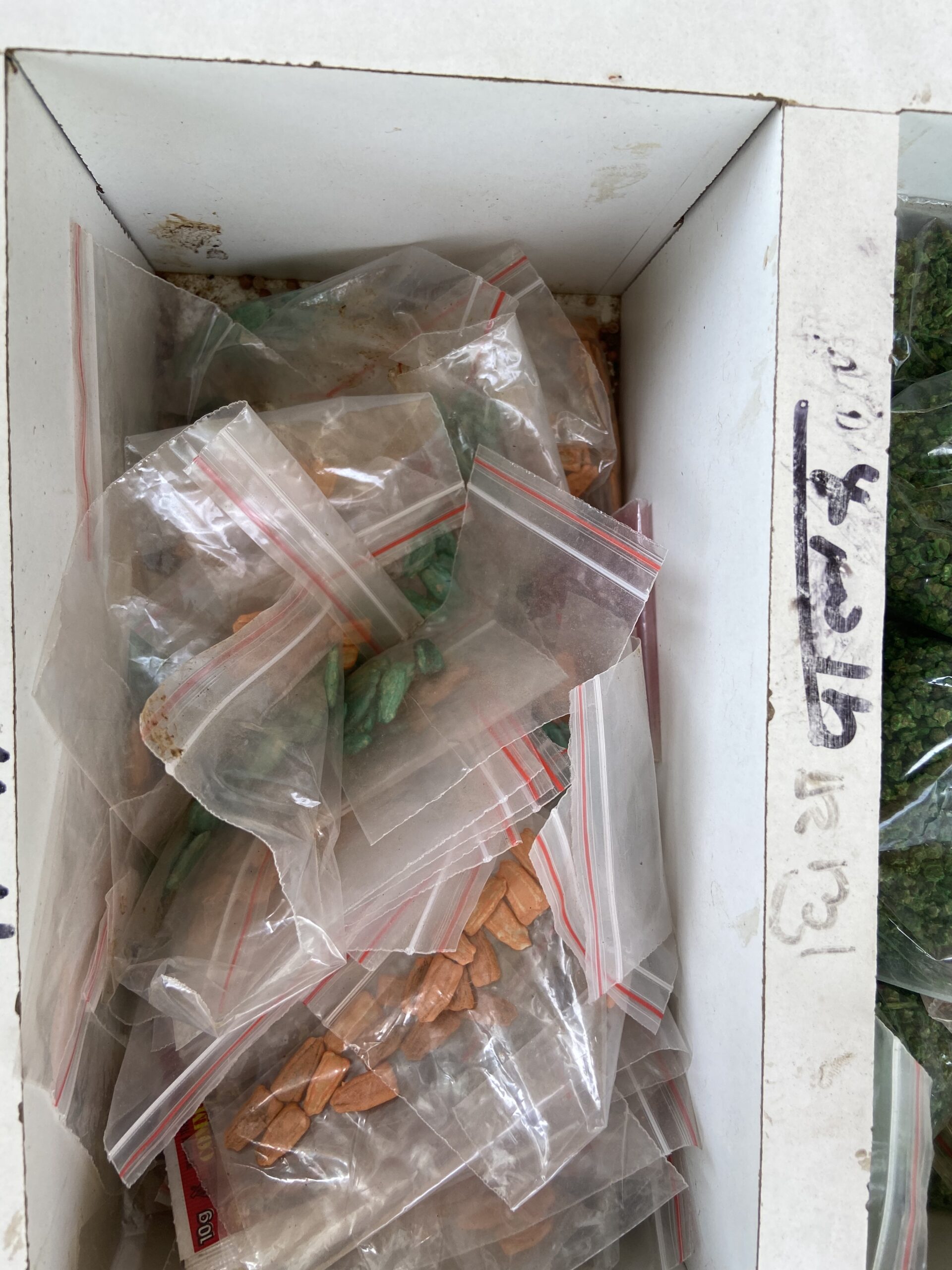 1483C7E5-439C-4EFC-A8D7-AA4FF13B2917