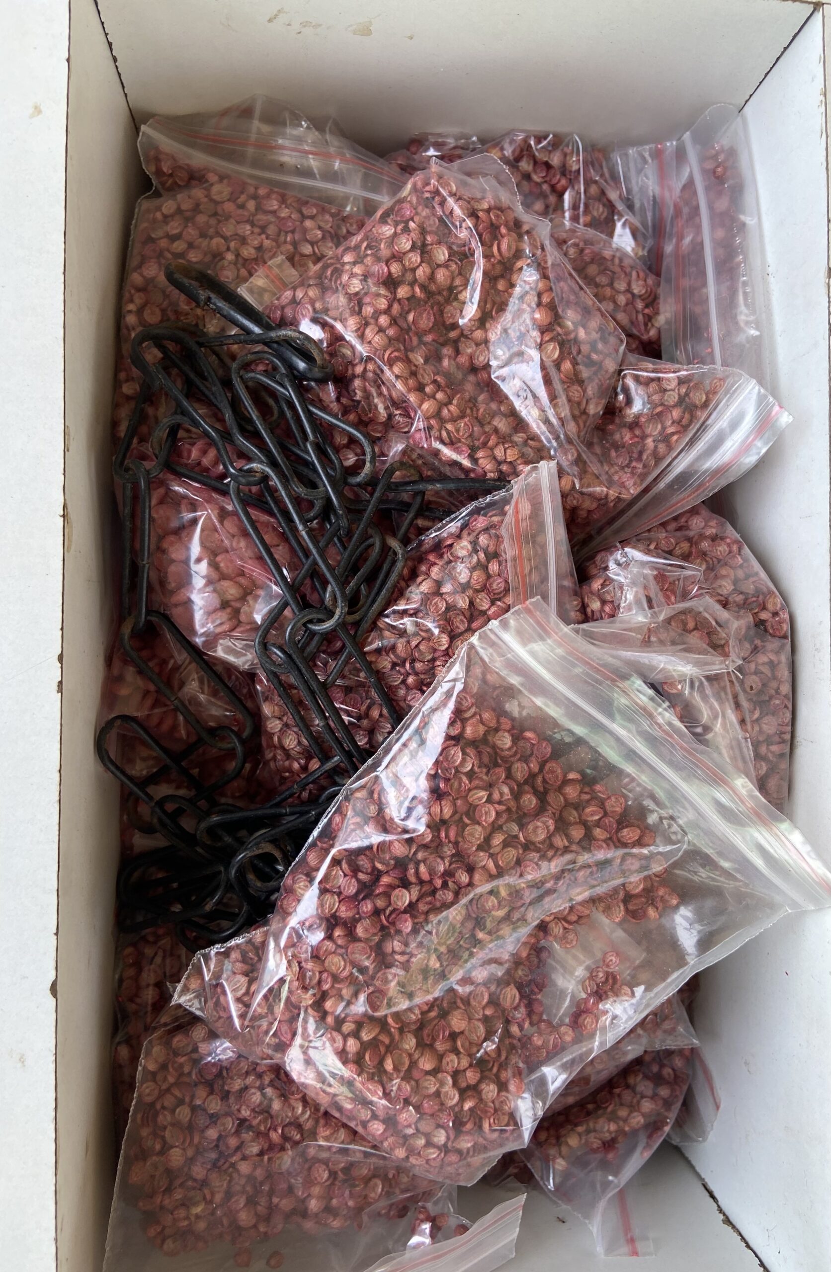 69CDF62E-F703-4940-81A3-EC1E57775F0B