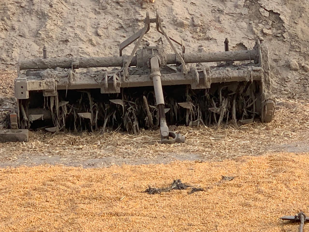 98209A2B-1B76-4E10-857C-F3CA74F633D6