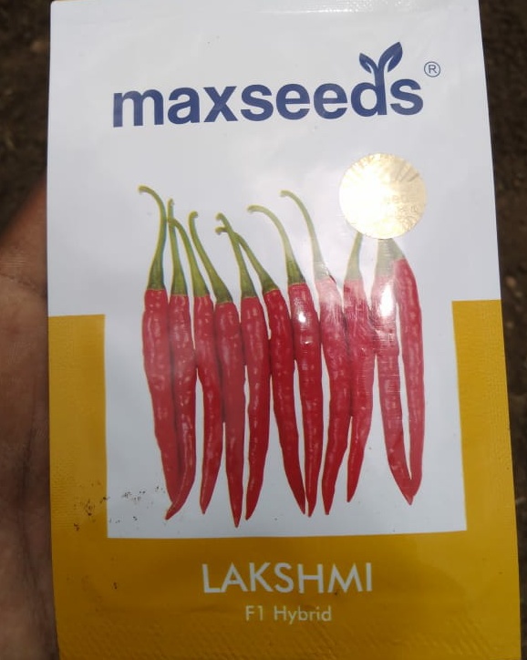 IMG-20210729-WA0008__01