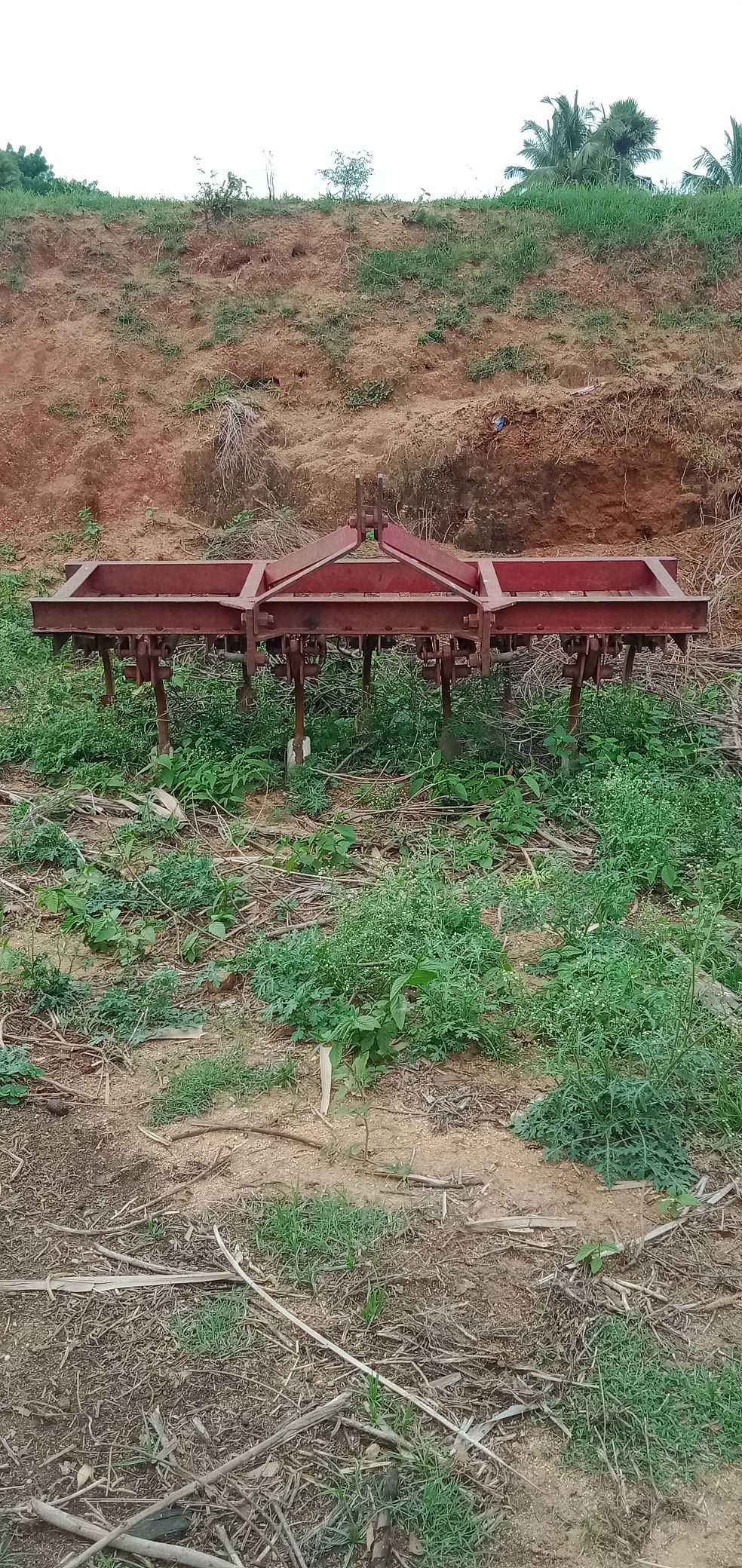 IMG20210708170351_compress2