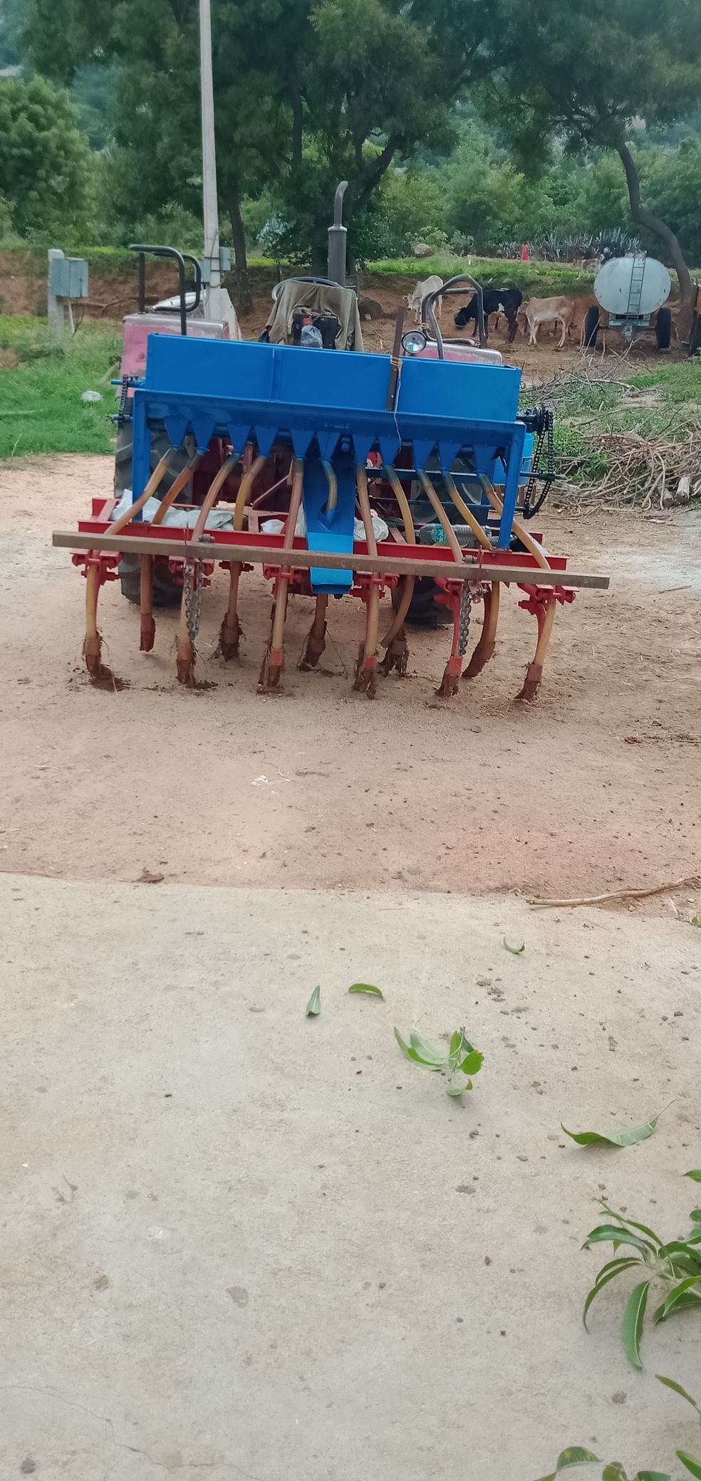 IMG20210708170900_compress68