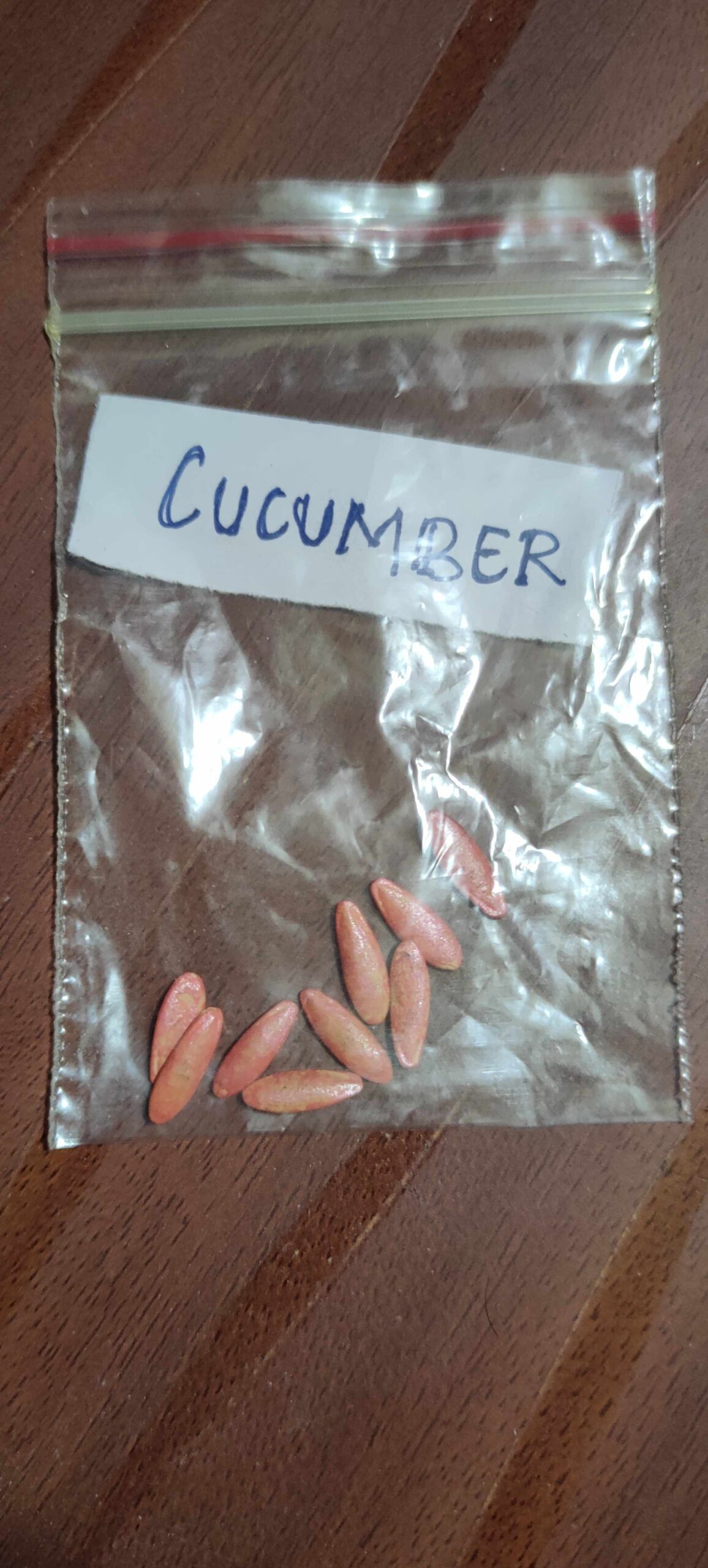 IMG20210731115853_compress29