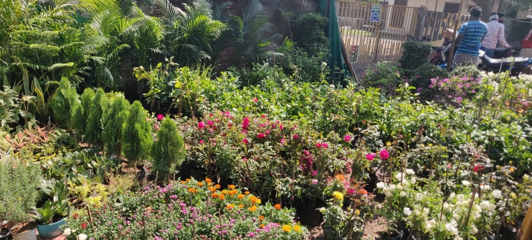 Screenshot_20210730-161828__01