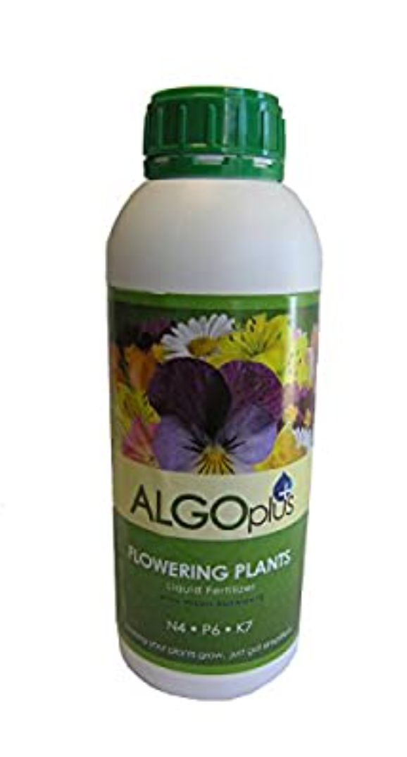 Screenshot_2021_0717_084420